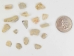 African Abalone Pieces: 10 mm: Natural Color (kg) - 220-TP-10-NA (Y3DRF)