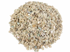 African Abalone Pieces: 10 mm: Natural Color (kg) 