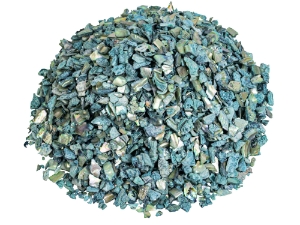 African Abalone Pieces: 10 mm: Turquoise (kg) 