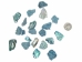 African Abalone Pieces: 25 mm: Blue (kg) - 220-TP-25-BL (Y3ERC)