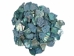 African Abalone Pieces: 25 mm: Blue (kg) - 220-TP-25-BL (Y3ERC)