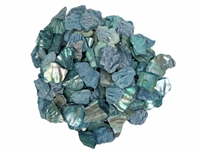 African Abalone Pieces: 25mm: Blue (kg) 