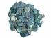 African Abalone Pieces: 25 mm: Blue (kg) - 220-TP-25-BL (Y3E)