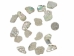 African Abalone Pieces: 25 mm: Natural Color (kg) - 220-TP-25-NA (Y3E)