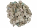 African Abalone Pieces: 25 mm: Natural Color (kg) - 220-TP-25-NA (Y3E)