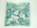 African Abalone Pieces: 25 mm: Turquoise (kg) - 220-TP-25-TQ (Y3ERE)