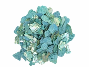 African Abalone Pieces: 25 mm: Turquoise (kg) 