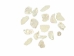 African Abalone Pieces: 50 mm: Bleached White (kg) - 220-TP-50-BW (Y3E)