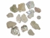 African Abalone Pieces: 50 mm: Natural Color (kg) - 220-TP-50-NA (Y3E)(Y3G-A3)