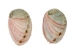 Mexican Red Abalone Shell: 3" to 4" - 221-34R (Y3MRB)(Y3MXX)