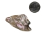 Mexican Red Abalone Shell Pieces: Highly Polished: Assorted Sizes (50 g bag) - 221-RTPHPNA-50G (Y1HC01)