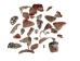 Mexican Red Abalone Shell Pieces: Highly Polished: Assorted Sizes (50 g bag) - 221-RTPHPNA-50G (Y1HC01)