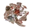 Mexican Red Abalone Shell Pieces: Highly Polished: Assorted Sizes (50 g bag) - 221-RTPHPNA-50G (Y1HC01)