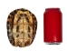 Red Ear Turtle Shell: 5" to 6" - 227-0506 (Y3KRU)