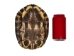 Red Ear Turtle Shell: 8" to 9" - 227-0809 (Y3K)