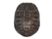 Red Ear Turtle Shell: 8" to 9" - 227-0809 (Y3K)