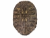 Red Ear Turtle Shell: 9" to 10" - 227-0910 (Y3K)