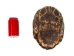 Red Ear Turtle Shell: 10" to 11" - 227-1011 (Y3K)
