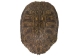 Red Ear Turtle Shell: 10" to 11" - 227-1011 (Y3K)