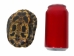 Red Ear Turtle Shell 4" to 5" - 227GS-0405 (Y3LR-A1)