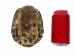 Red Ear Turtle Shell 5" to 6" - 227GS-0506 (Y3K)