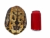 Red Ear Turtle Shell 6" to 7" - 227GS-0607 (Y3LR-A3)