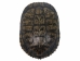 Red Ear Turtle Shell 7" to 8" - 227GS-0708 (Y3LR-A3)