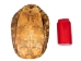 Red Ear Turtle Shell 9" to 10" - 227GS-0910 (Y3L)