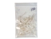Dentalium octagulatum: ~0.5" to 1" (100 pieces) - 267-C-S (Y2JC06)