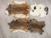 Moroccan Heavy Rabbit Skin: #2: Natural - 283-2-MON-AS (Y2HRE)