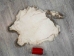 Moroccan Heavy Rabbit Skin: #6: Natural - 283-6-MON-AS (Y2HRE)