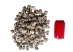Turbo Bruneus Shells (1 kg or 2.2 lbs) - 2HS-3035K-KG (Y3K)