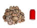 Mixed Polished Arabian Cowrie Shells 2"-3" (1 kg or 2.2 lbs)  - 2HS-3064K-KG (Y3K)