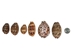Mixed Polished Arabian Cowrie Shells 2"-3" (1 kg or 2.2 lbs)  - 2HS-3064K-KG (Y3K)