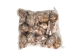Mixed Polished Arabian Cowrie Shells 2"-3" (1 kg or 2.2 lbs)  - 2HS-3064K-KG (Y3K)