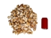 Dog Conch Shells 2"-2.5" (gallon) - 2HS-3218-GA (Y3K)