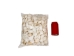 White Dog Conch Shells 2"-2.5" (gallon) - 2HS-3218W-GA (Y3K)