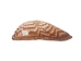 Turkey Wing Shells 2"-2.5" (gallon)  - 2HS-3222-GA (Y3K)