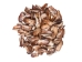 Turkey Wing Shells 2"-2.5" (gallon)  - 2HS-3222-GA (Y3K)