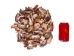 Turkey Wing Shells 2"-2.5" (gallon)  - 2HS-3222-GA (Y3K)