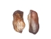 Turkey Wing Shells 2"-2.5" (gallon)  - 2HS-3222-GA (Y3K)