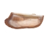 Turkey Wing Shells 2"-2.5" (gallon)  - 2HS-3222-GA (Y3K)
