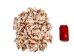 Strawberry Strombus Shells 2"-2.5" (gallon)   - 2HS-3223-GA (Y3K)