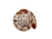 Strawberry Strombus Shells 2"-2.5" (gallon)   - 2HS-3223-GA (Y3K)