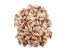 Strawberry Strombus Shells 2"-2.5" (gallon)   - 2HS-3223-GA (Y3K)