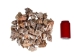 Hawk Wing Conch Shells 2.5"-3" (gallon)   - 2HS-3228-GA (Y3K)