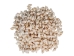 Nassa Recticulata Shells 0.625"-1" (1 kg or 2.2 lbs)   - 2HS-3246K-KG (Y3K)