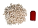 Nassa Recticulata Shells 0.625"-1" (1 kg or 2.2 lbs)   - 2HS-3246K-KG (Y3K)