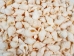 Nassa Recticulata Shells 0.625"-1" (1 kg or 2.2 lbs)   - 2HS-3246K-KG (Y3K)