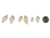 Nassa Recticulata Shells 0.625"-1" (1 kg or 2.2 lbs)   - 2HS-3246K-KG (Y3K)